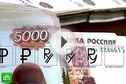 Банк России предлагает выбрать из 5 вариантов новый символ